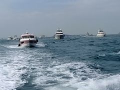 -凤凰岛旅游度假区