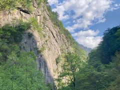 -青峰峡国家森林公园