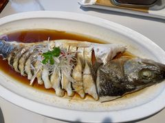 -映像威海·威海宴(威高广场店)