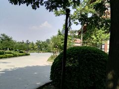 -西安青龙寺遗址景区