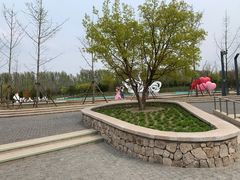 -东郊湿地公园