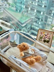 -巍阁高端月子会所