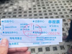 -广东惠东海龟国家级自然保护区