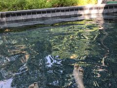 -水底山庄园温泉
