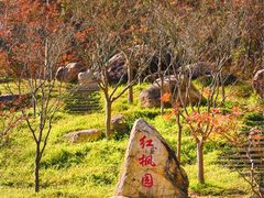 -广州市帽峰山景区