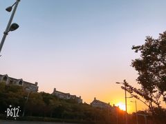 -新江湾城公园