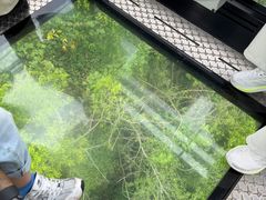 -呀诺达热带雨林