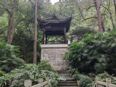 -忠山公园