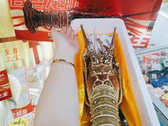 -沈阳水产批发市场