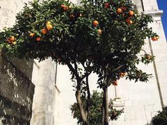 -圣胡斯塔升降机