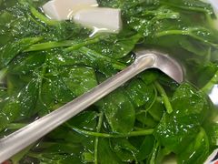小菜豆腐汤-江湖黑大兔(杨家坪店)