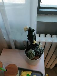 -MOVAN HAIR莫凡匠人发型屋