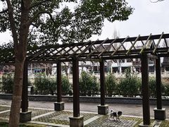 -三林塘老街