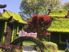 -东平国家森林公园