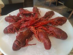 -红盔甲·小龙虾(天钥桥店)