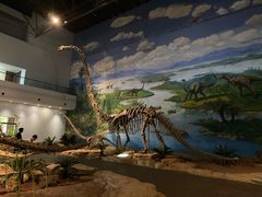 -自贡恐龙博物馆
