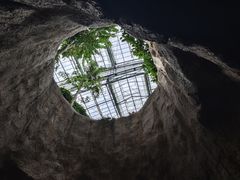 -南山植物园