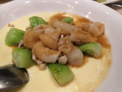 鲍汁珍菌花胶蛋羹-白云宾馆·白云宴餐厅