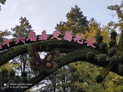 -汇龙潭