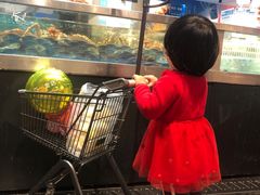 -恒生万鹂广场(唐镇店)