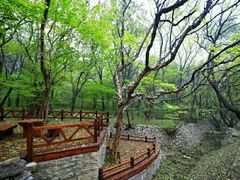 -天门寺