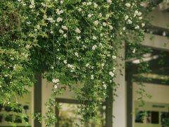 -杭州植物园