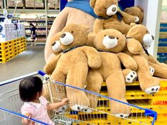 -麦德龙(郑东店)