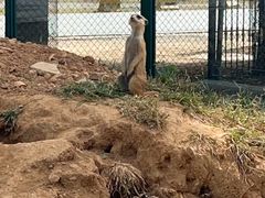 -秦皇岛野生动物园