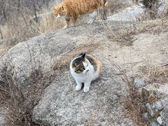 -北京凤凰岭