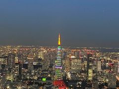 -六本木新城展望台(东京城市景观)