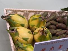 -呀路古热带植物园