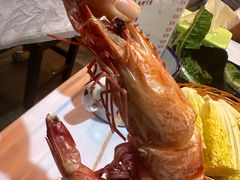 -鲜入围煮花胶鸡海鲜火锅