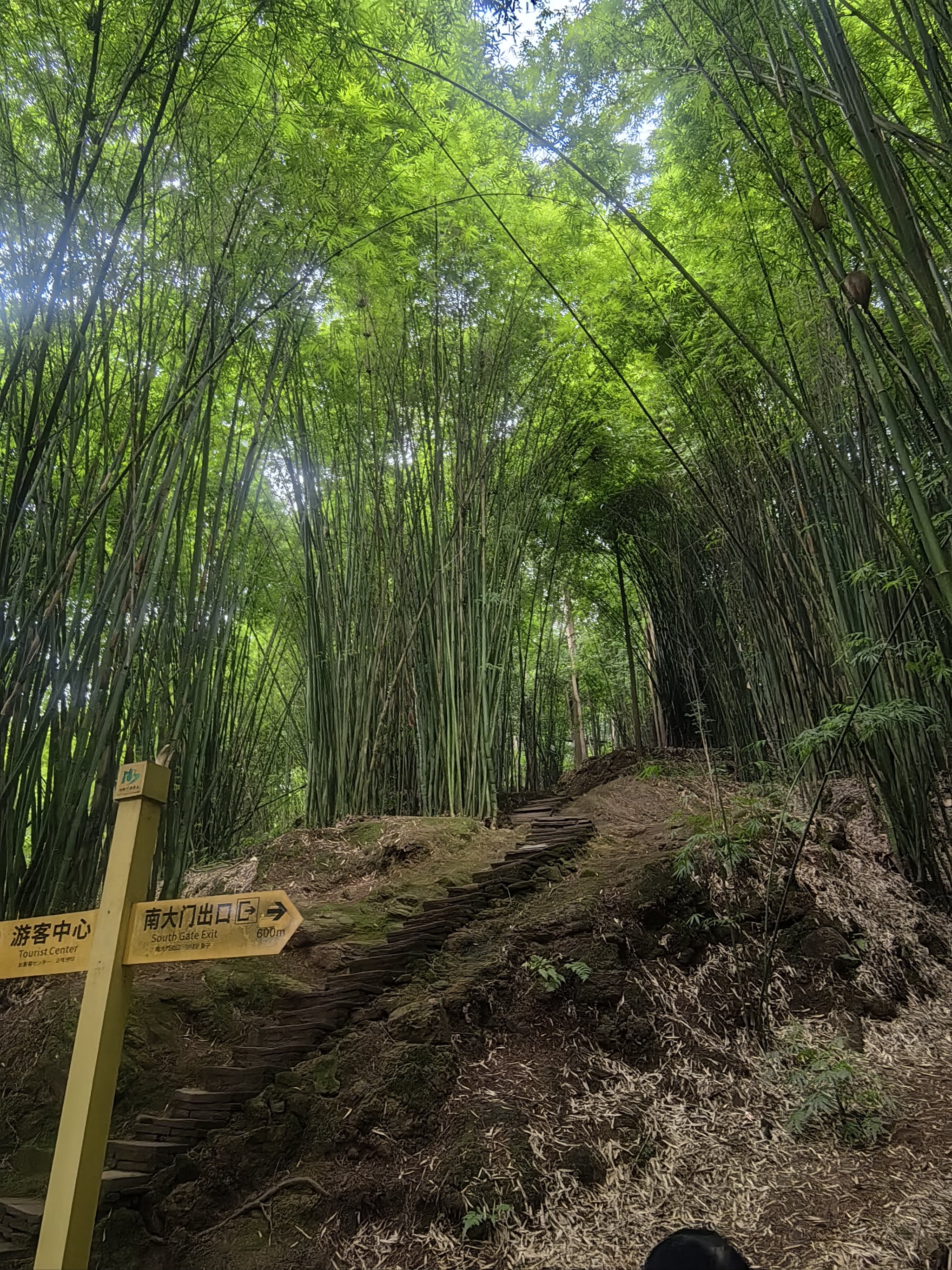 成都川西竹海景区图片