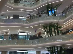-坂田天虹