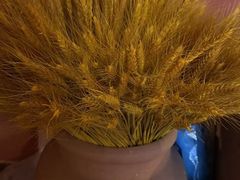 -泰融玺·泰式按摩SPA(包河万达店)