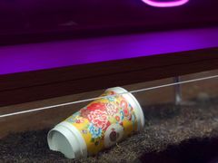 -茶话弄(中贸广场店)
