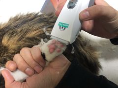 -瑞派旺宝宠物医院·犬猫全科综合·尿道专科(莲兴院)