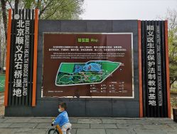 -汉石桥湿地童趣乐园