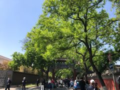 -北京国子监胡同