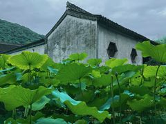 -兰亭风景区