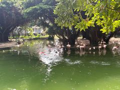 -九龙公园