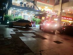 -椿记烧鹅(叠彩店)