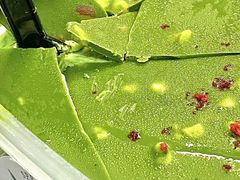 -优托邦(长兴路店)