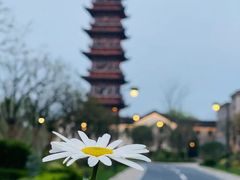 -乌镇景区
