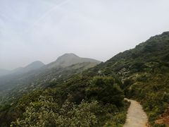 -大姆山草场