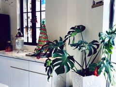 -Fridi Patisserie Cafe