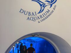 -迪拜水族馆及水下动物园
