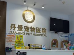 -丹景宠物医院·全科·老年病·牙科(武昌诊疗中心)