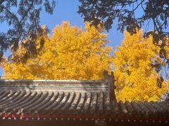 -承恩寺