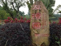 iphone_upload_pic-中山市树木园